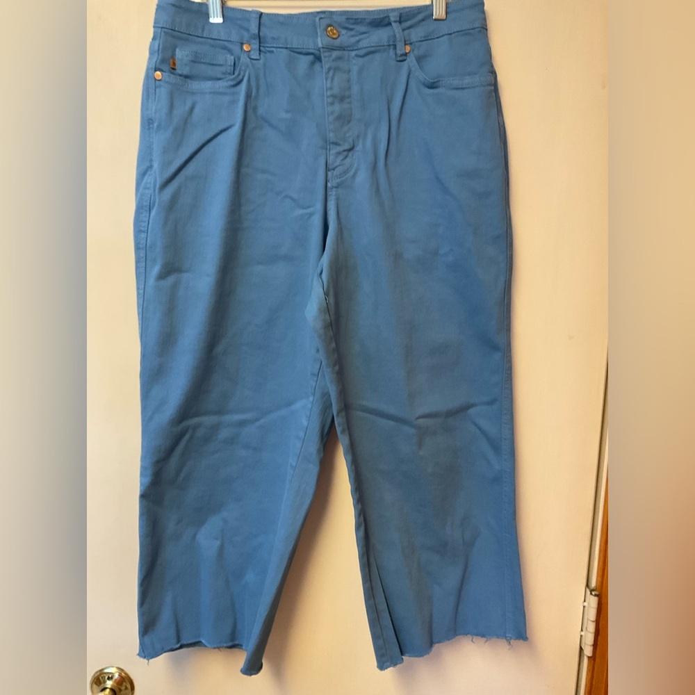Judy Blue Cropped Pants